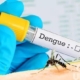 dengue 2