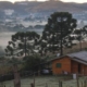 frio