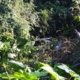 itapiranga
