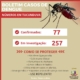 tucunduva dengue