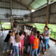família e escola