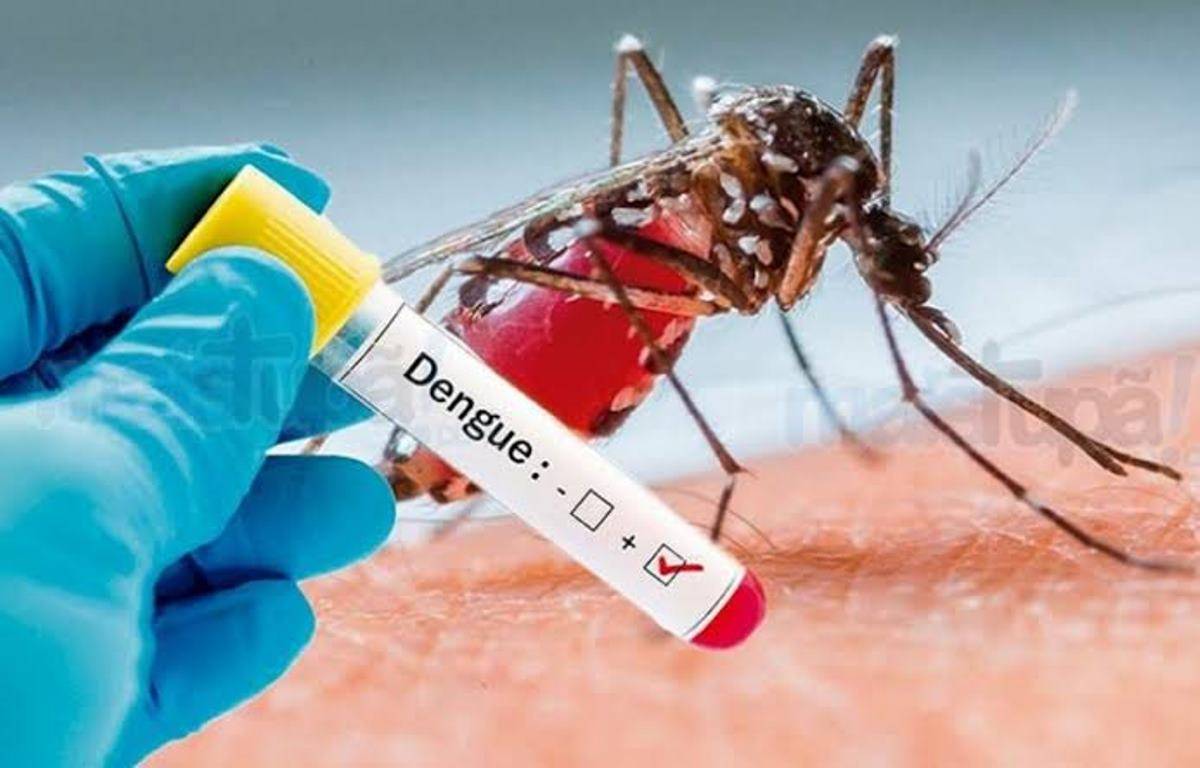 dengue 2