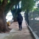 frio