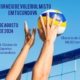 vôlei