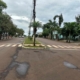 avenida 1