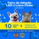 Post Para Instagram Feira De Adoção Abrigo De Animais Moderno Azul E Amarelo