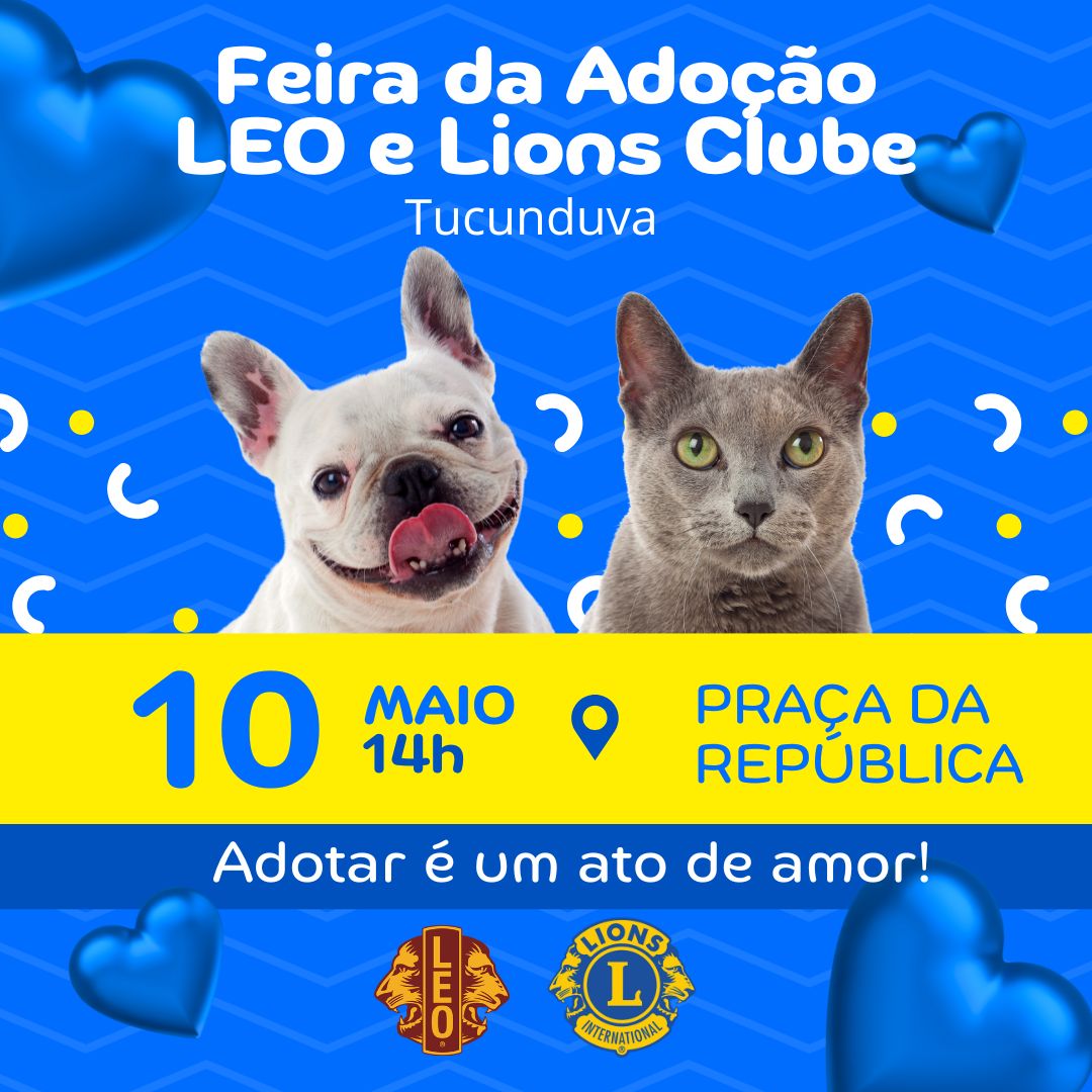 Post Para Instagram Feira De Adoção Abrigo De Animais Moderno Azul E Amarelo