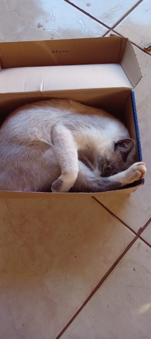 668838669_1395768202354128_3658659445942043167_n